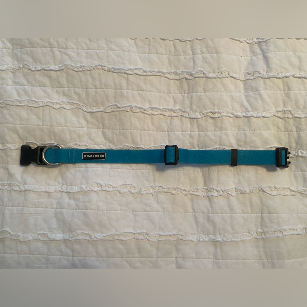Wilderdog Blue Dog Collar Large